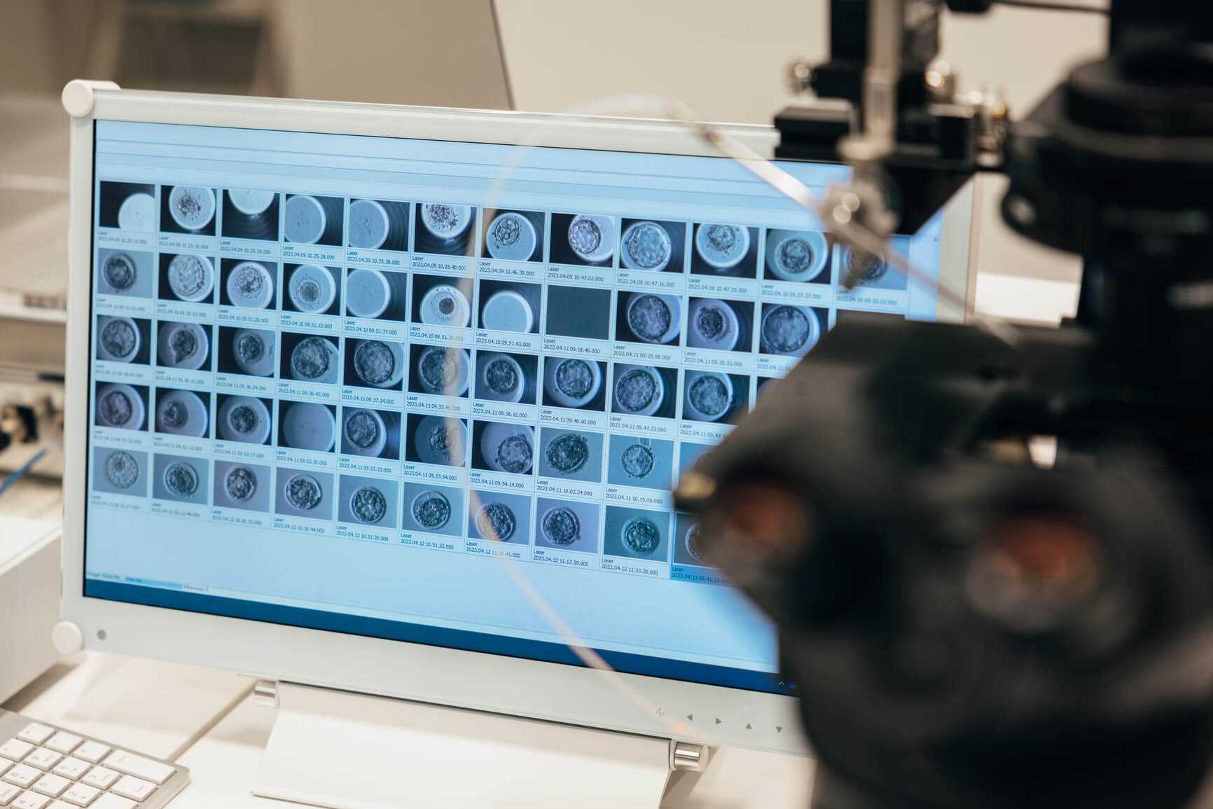 Usługi HR dla branży farmaceutycznej