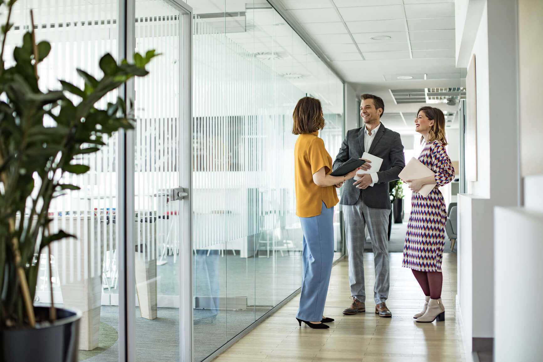 spotkanie, korytarz, zespół, rozmowa